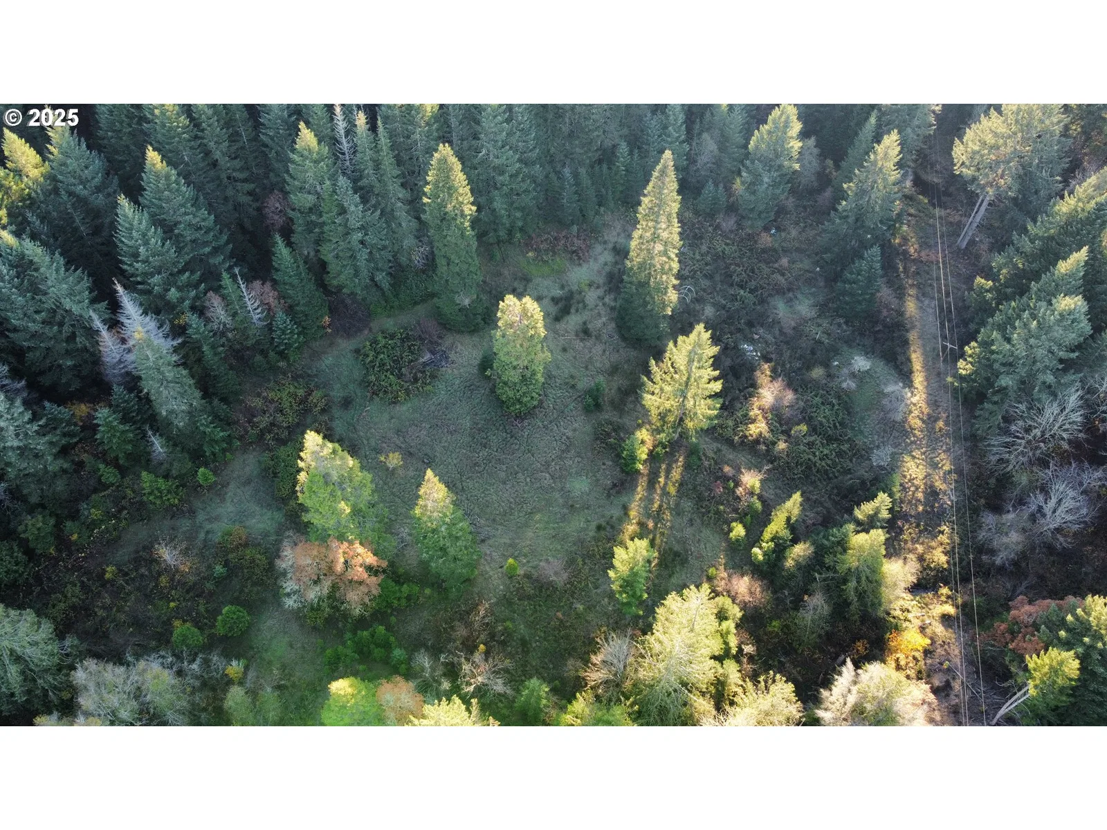 Hard Cash Ln, Camas Valley, OR 97416 — photograph 17
