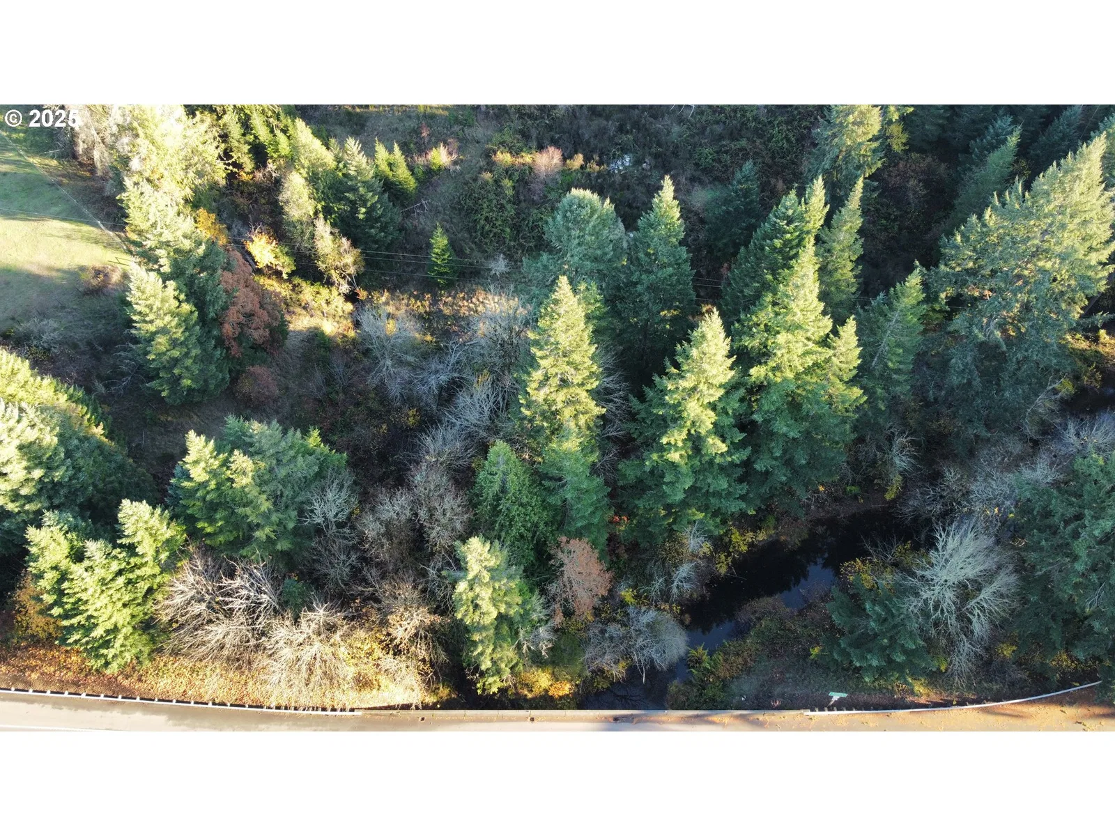 Hard Cash Ln, Camas Valley, OR 97416 — photograph 18