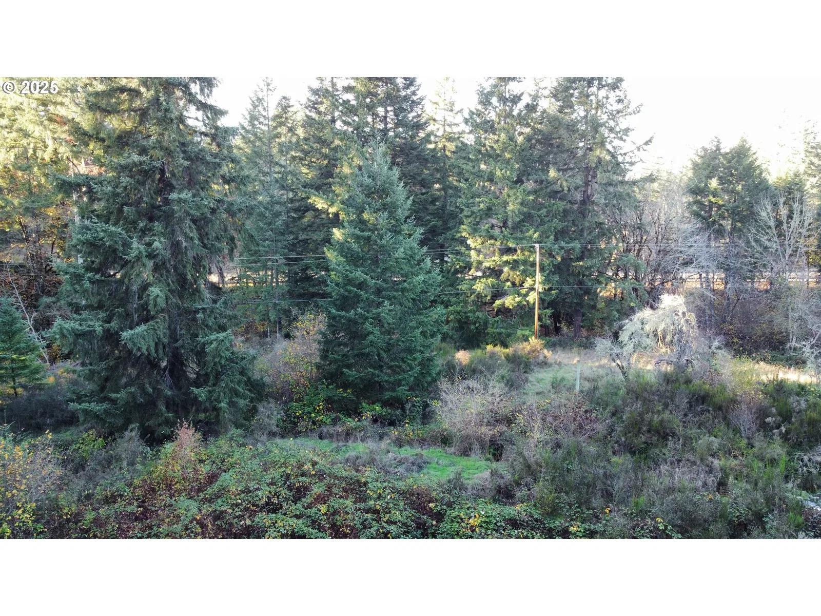 Hard Cash Ln, Camas Valley, OR 97416 — photograph 23