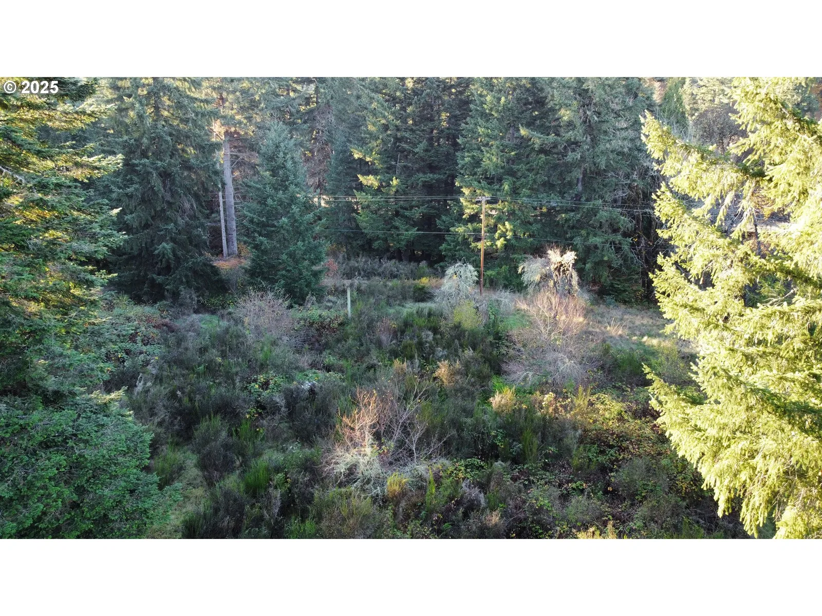 Hard Cash Ln, Camas Valley, OR 97416 — photograph 26
