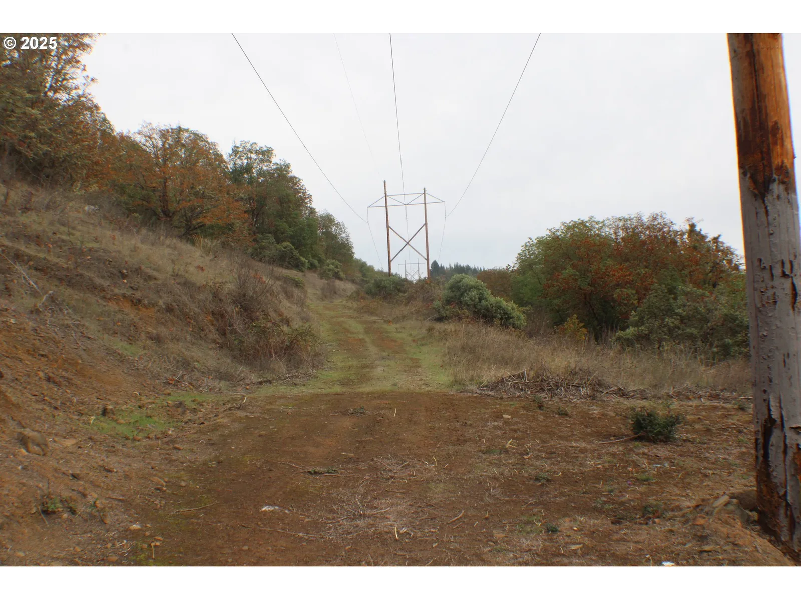 1320 Shoestring Rd, Riddle, OR 97469 — photograph 42