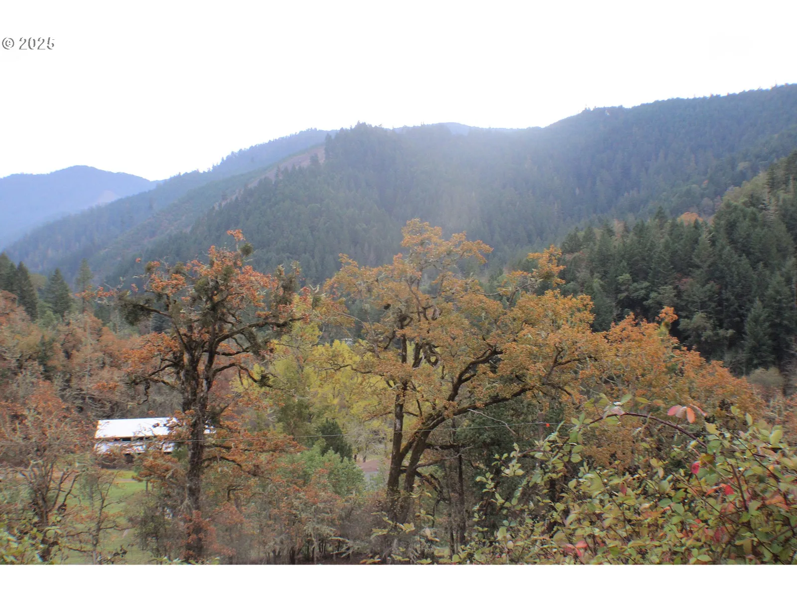 1320 Shoestring Rd, Riddle, OR 97469 — photograph 43