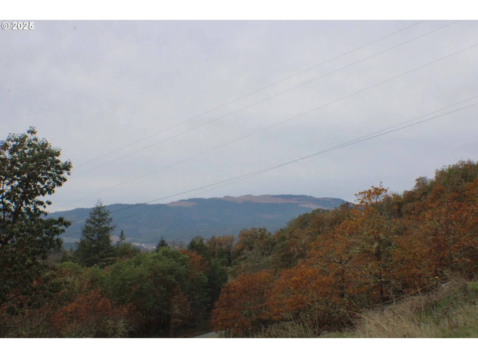 1320 Shoestring Rd, Riddle, OR 97469 — photograph 45