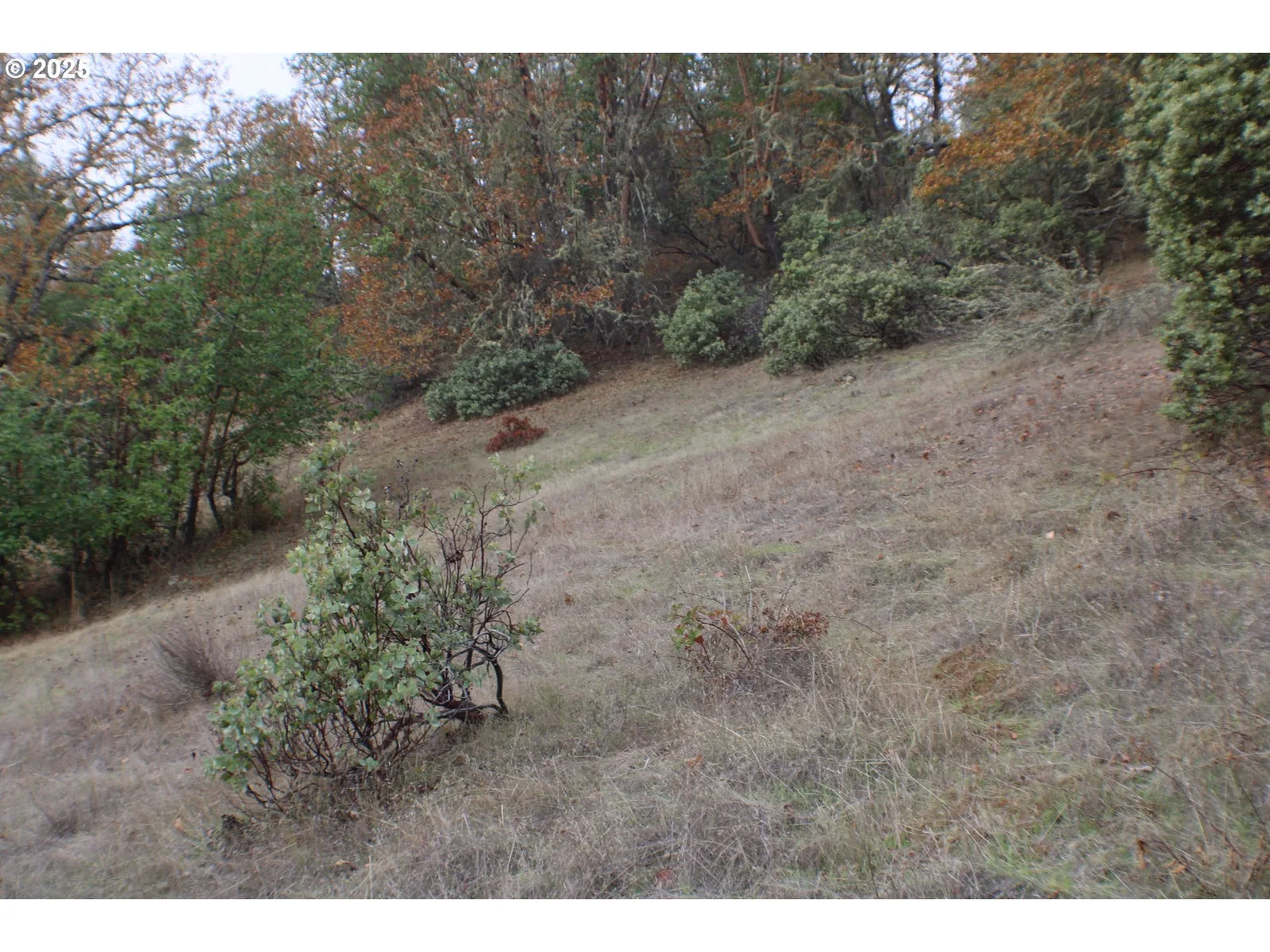 1320 Shoestring Rd, Riddle, OR 97469 — photograph 47
