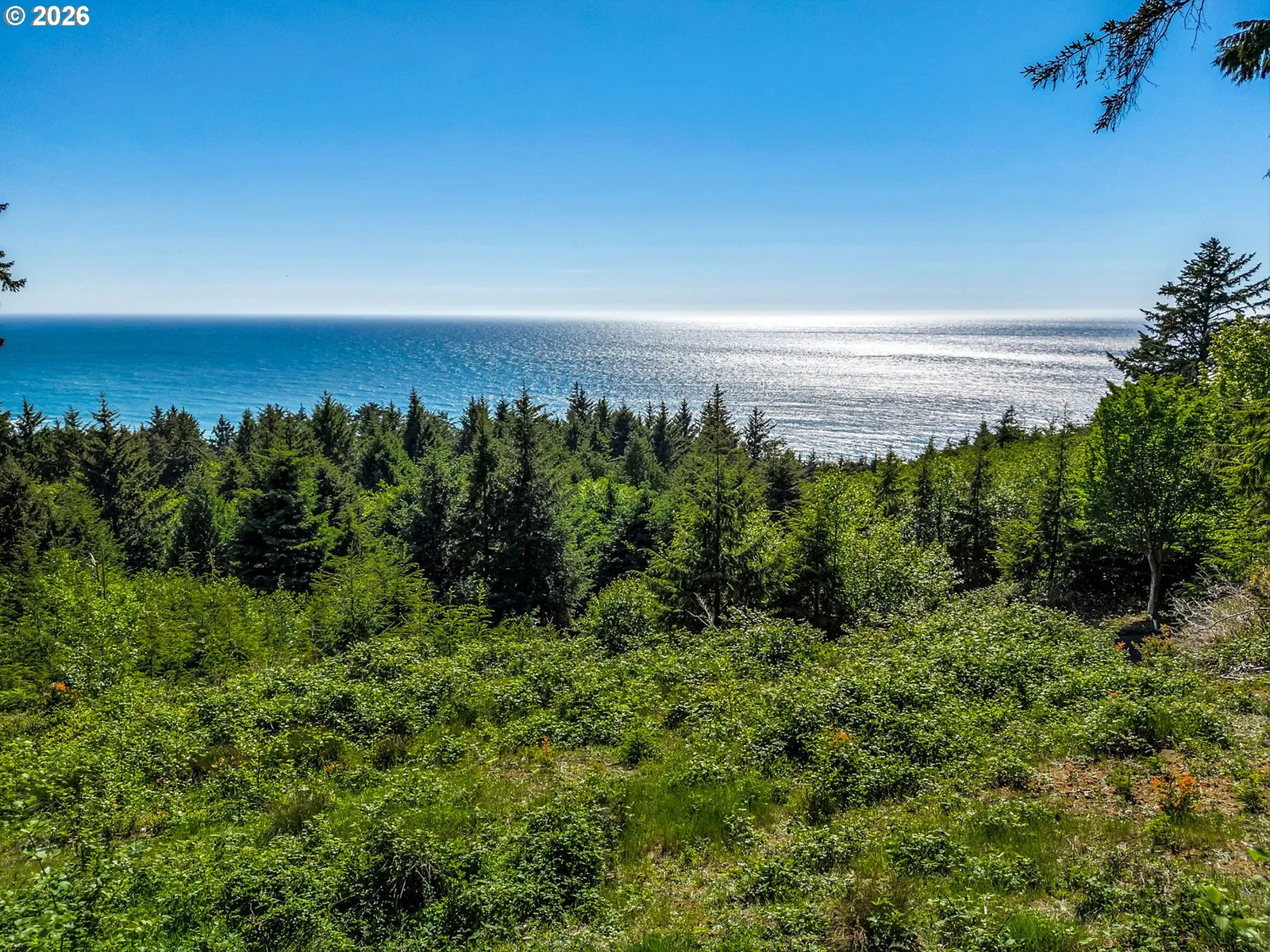 32307 Ruby Ln, Cannon Beach, OR 97110 — photograph 31