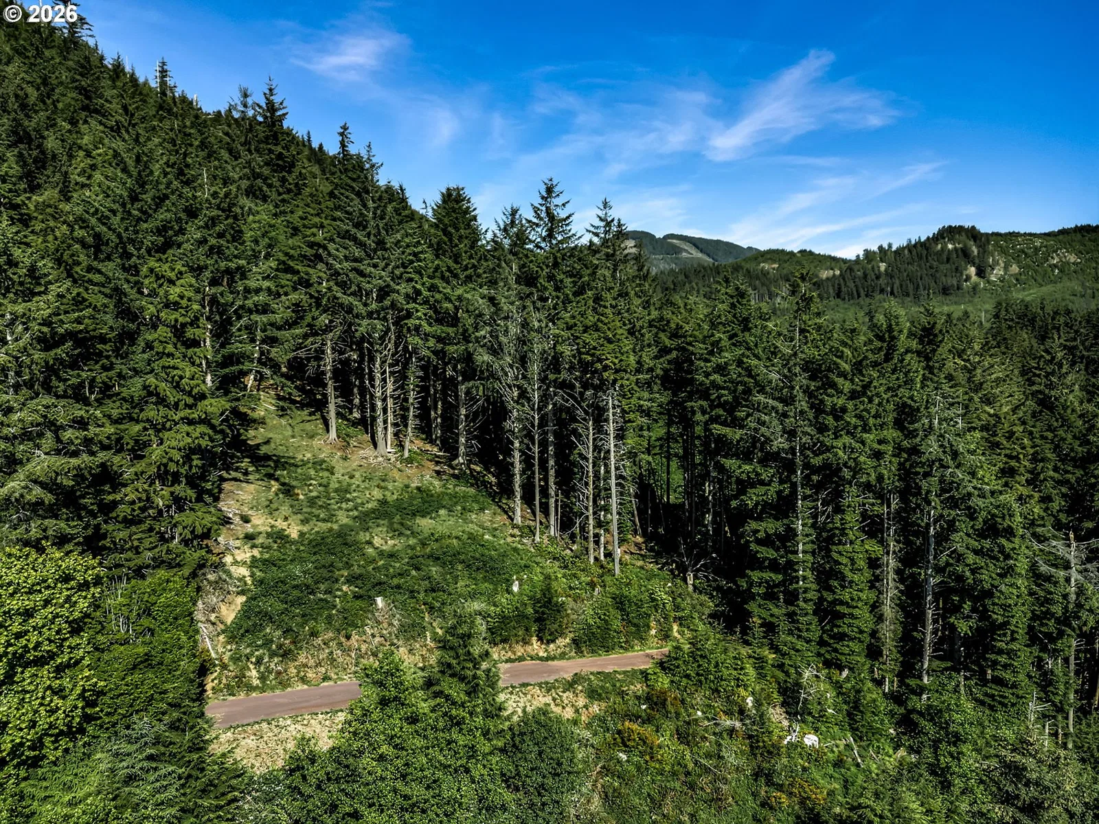 32307 Ruby Ln, Cannon Beach, OR 97110 — photograph 33
