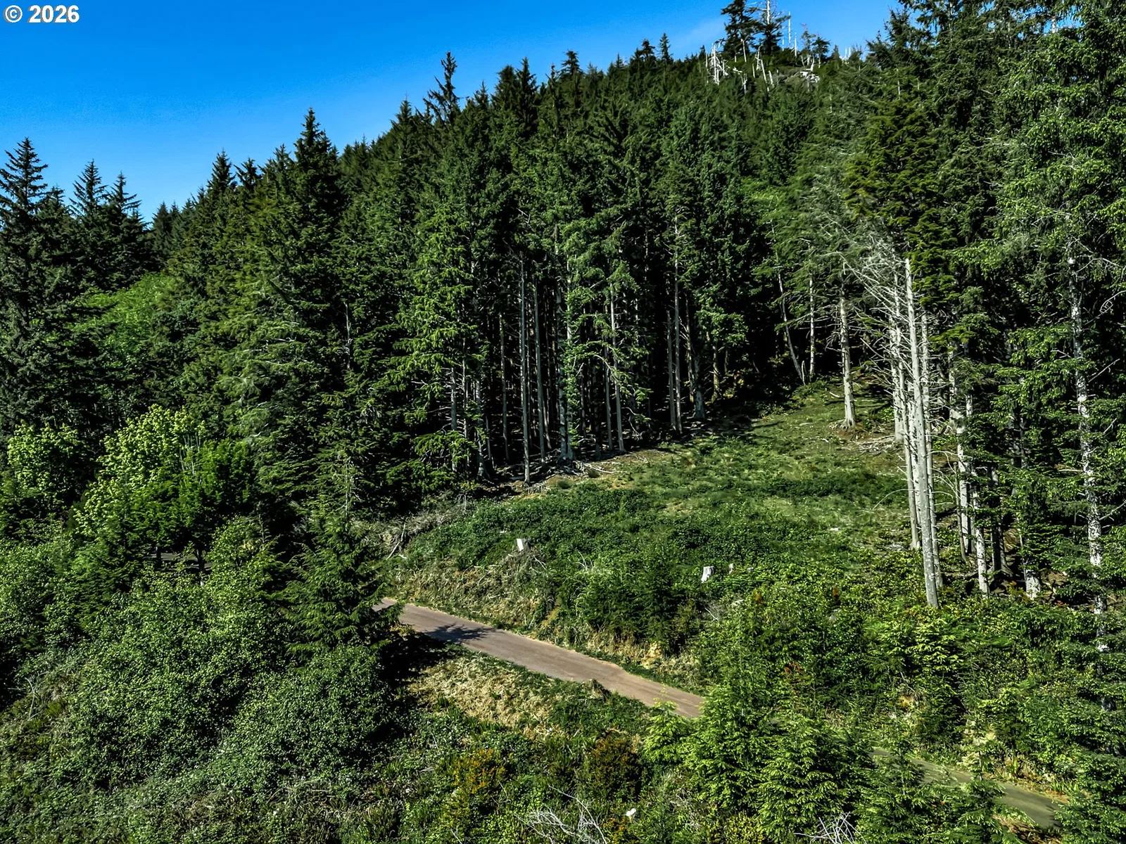 32307 Ruby Ln, Cannon Beach, OR 97110 — photograph 32