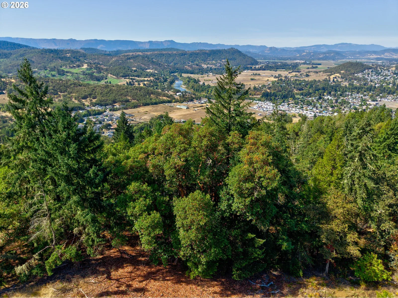643 Hutchins Dr, Roseburg, OR 97471 — photograph 46