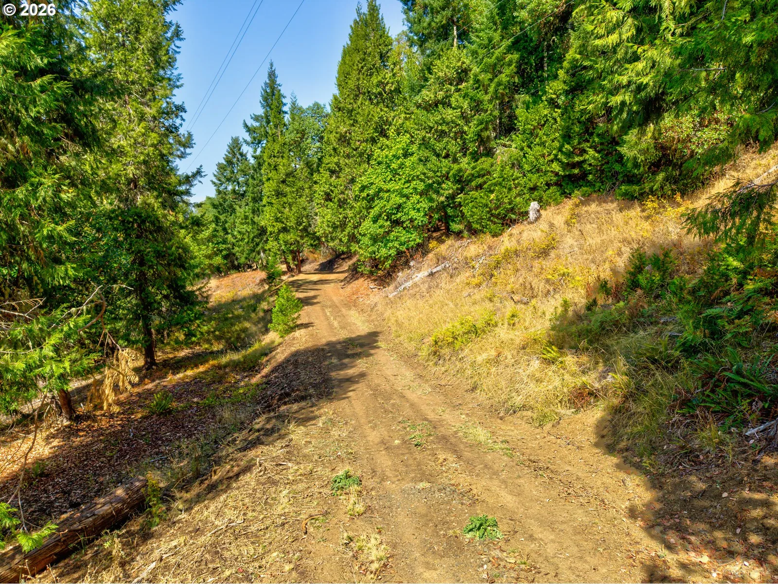 643 Hutchins Dr, Roseburg, OR 97471 — photograph 17