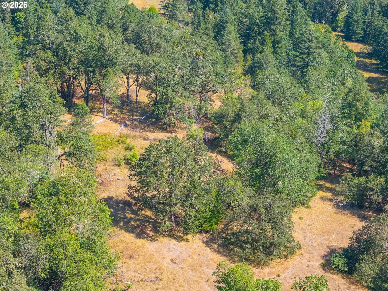 2894 Coos Bay Wagon Rd, Roseburg, OR 97471 — photograph 10