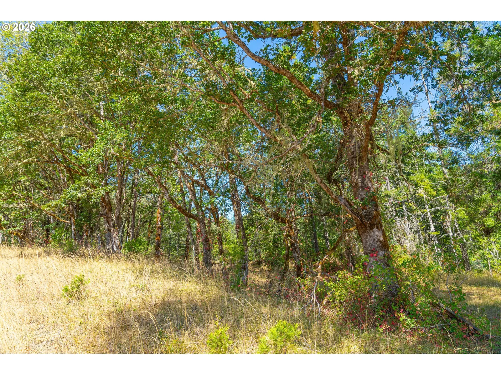 2894 Coos Bay Wagon Rd, Roseburg, OR 97471 — photograph 11
