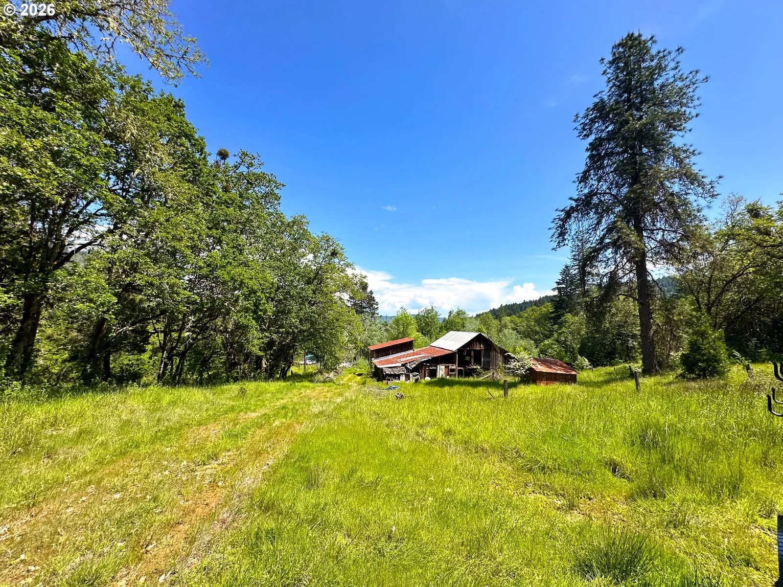 2894 Coos Bay Wagon Rd, Roseburg, OR 97471 — photograph 19
