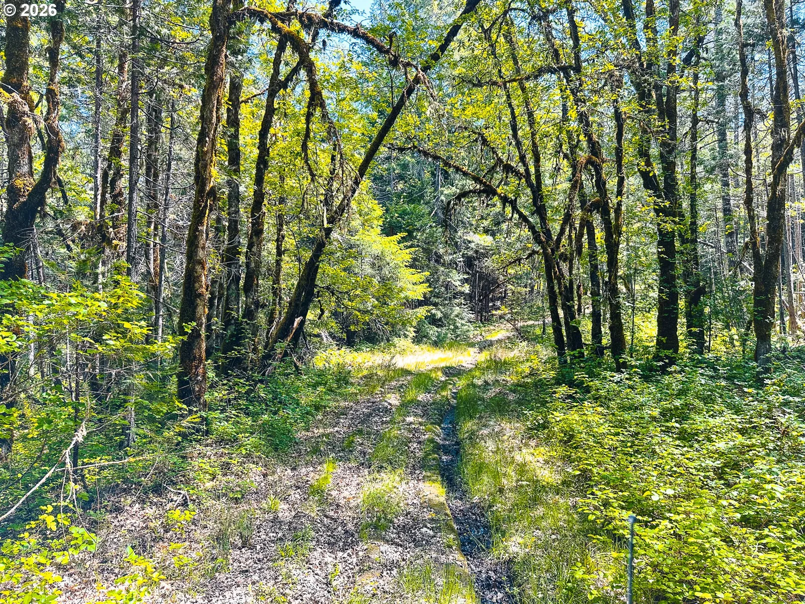 2894 Coos Bay Wagon Rd, Roseburg, OR 97471 — photograph 21