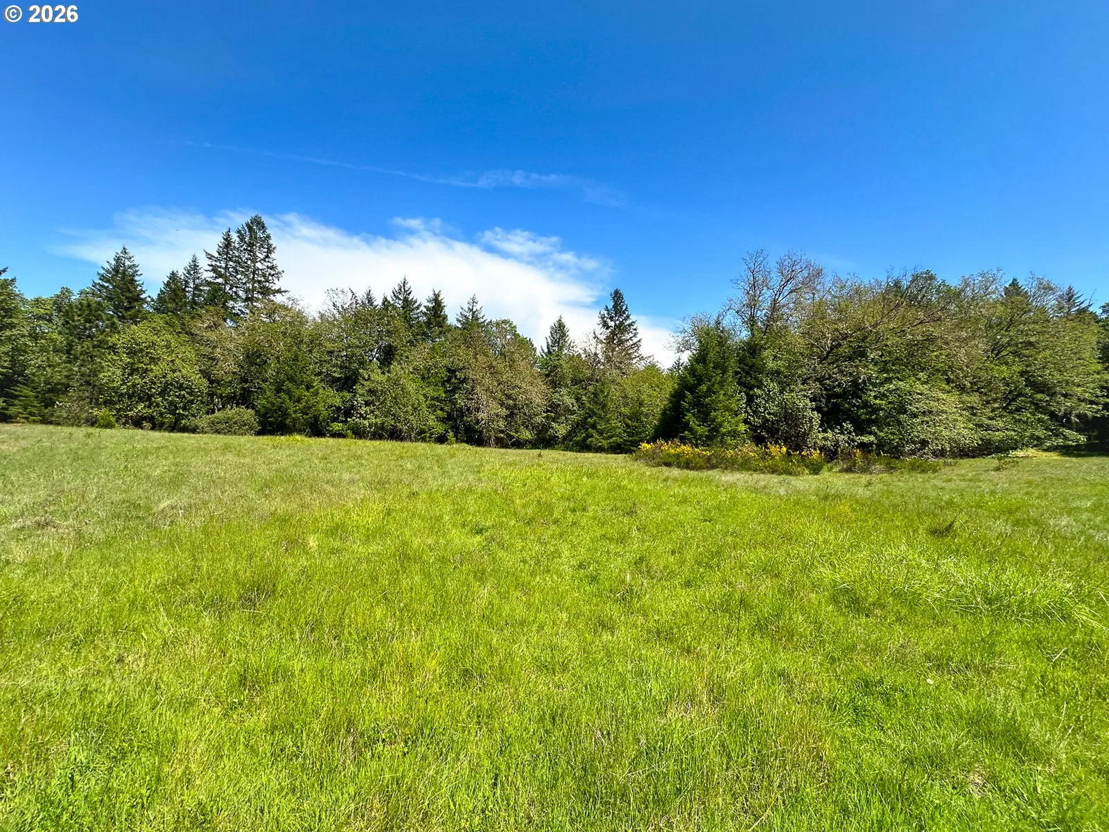 2894 Coos Bay Wagon Rd, Roseburg, OR 97471 — photograph 31
