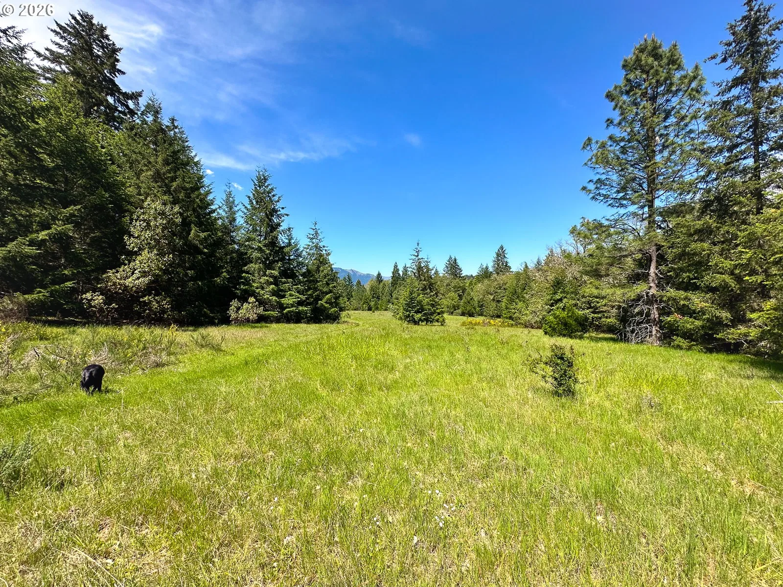 2894 Coos Bay Wagon Rd, Roseburg, OR 97471 — photograph 32