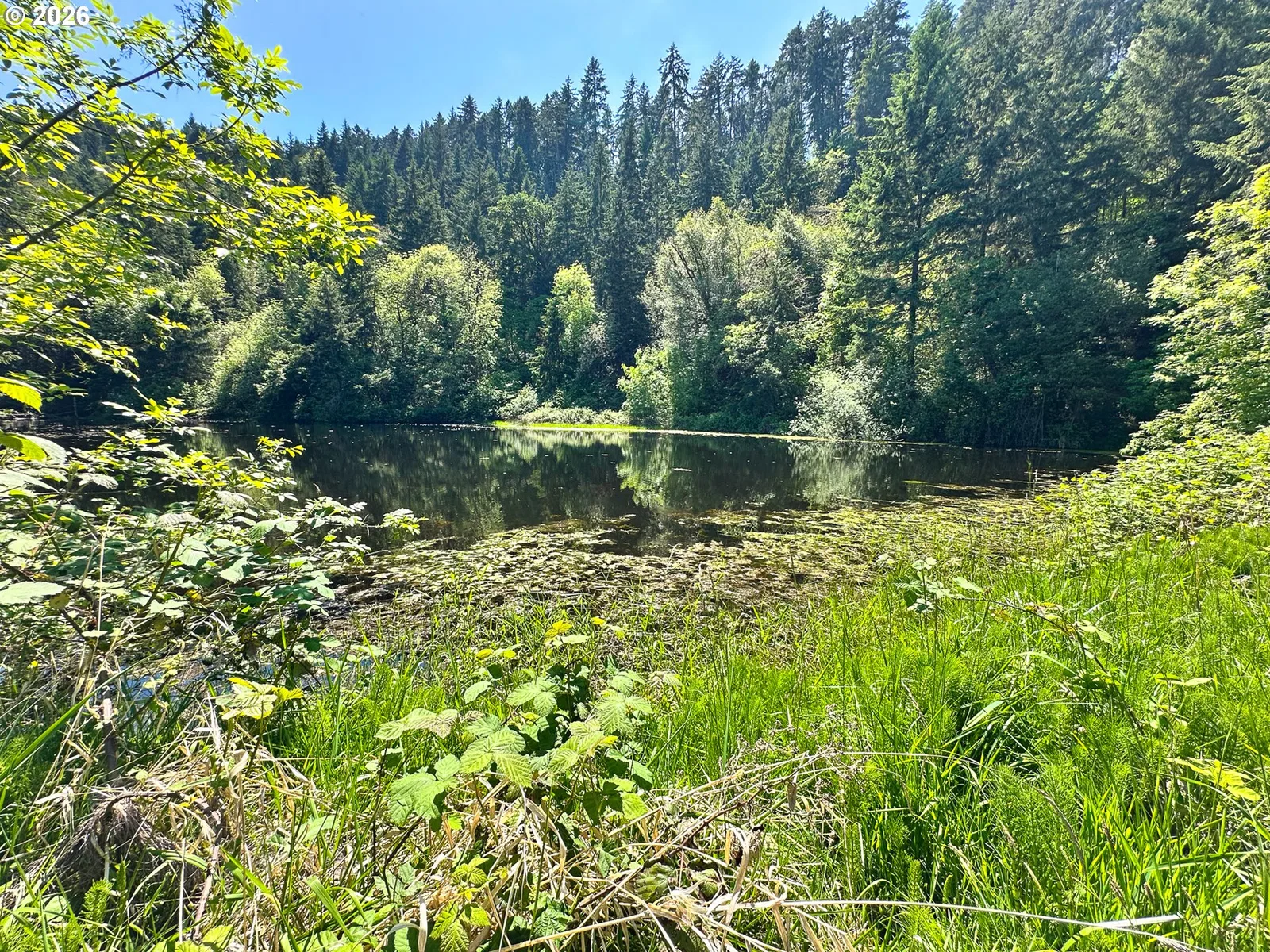 2894 Coos Bay Wagon Rd, Roseburg, OR 97471 — photograph 40