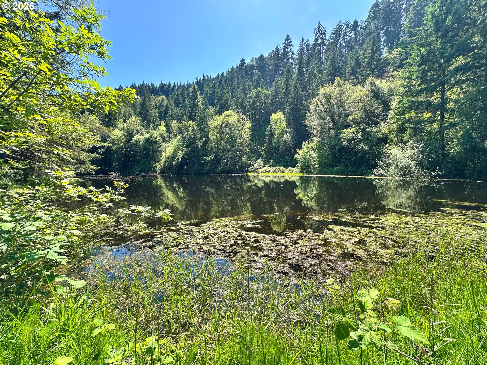 2894 Coos Bay Wagon Rd, Roseburg, OR 97471 — photograph 41