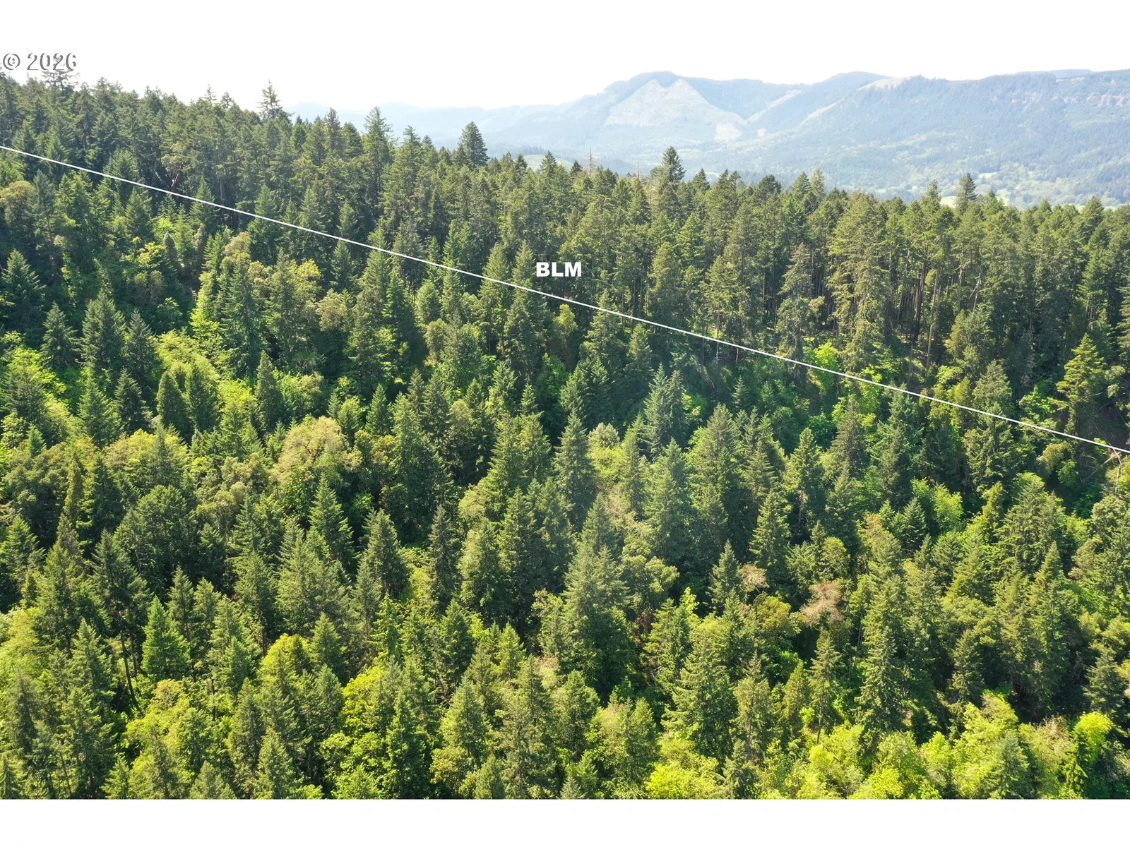 2894 Coos Bay Wagon Rd, Roseburg, OR 97471 — photograph 44