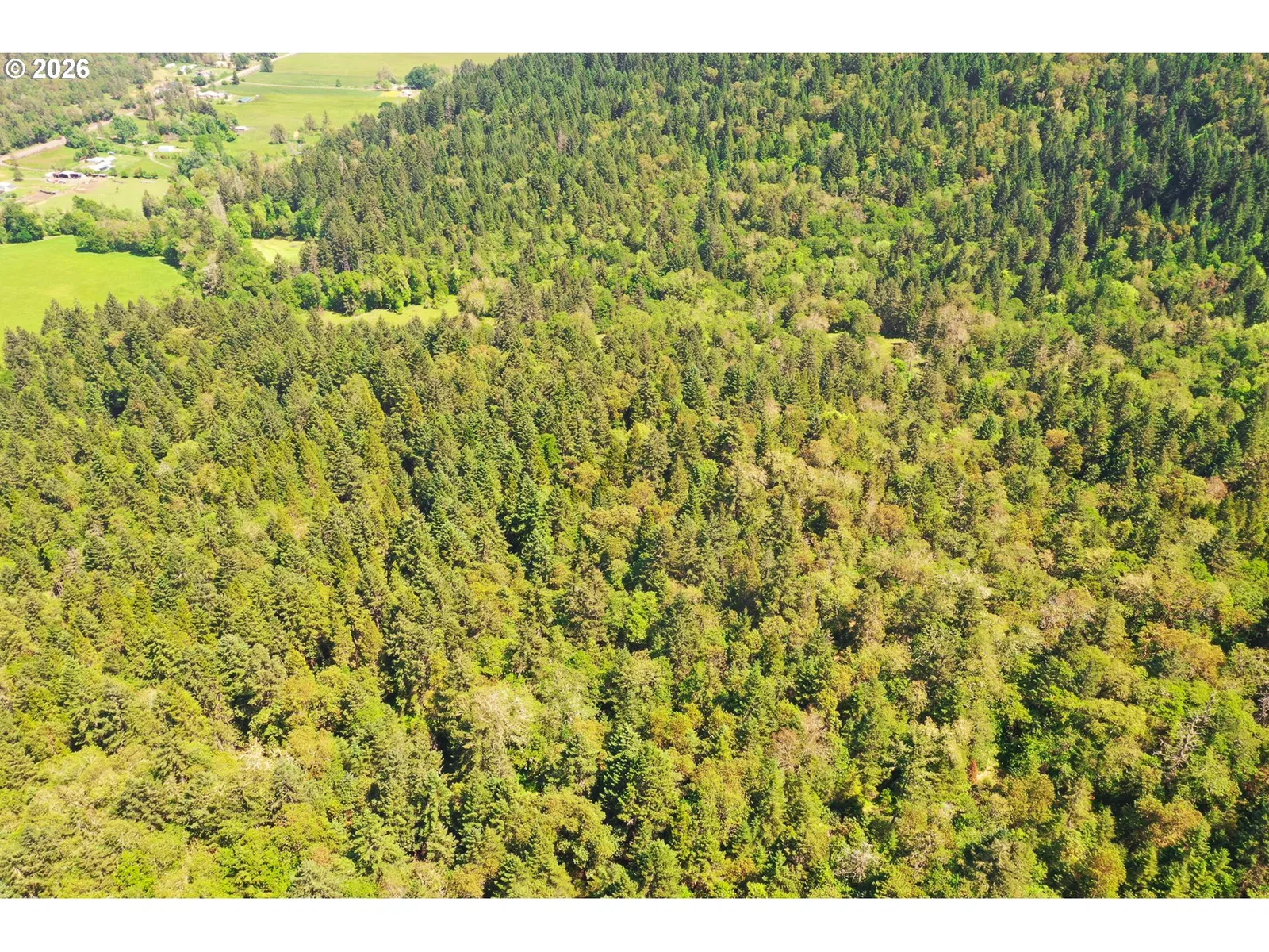 2894 Coos Bay Wagon Rd, Roseburg, OR 97471 — photograph 46