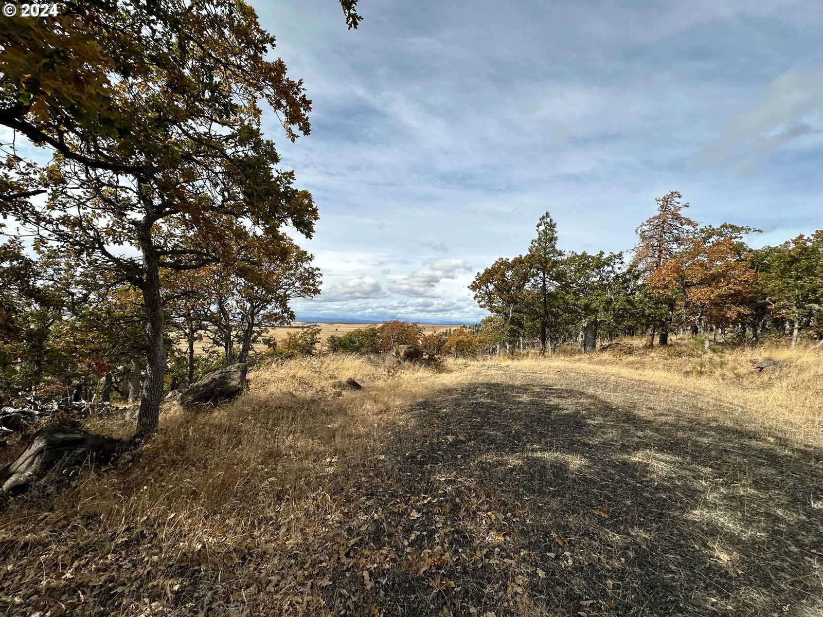 33 Rose Anns Way, Goldendale, Wa 98620 — photograph 25