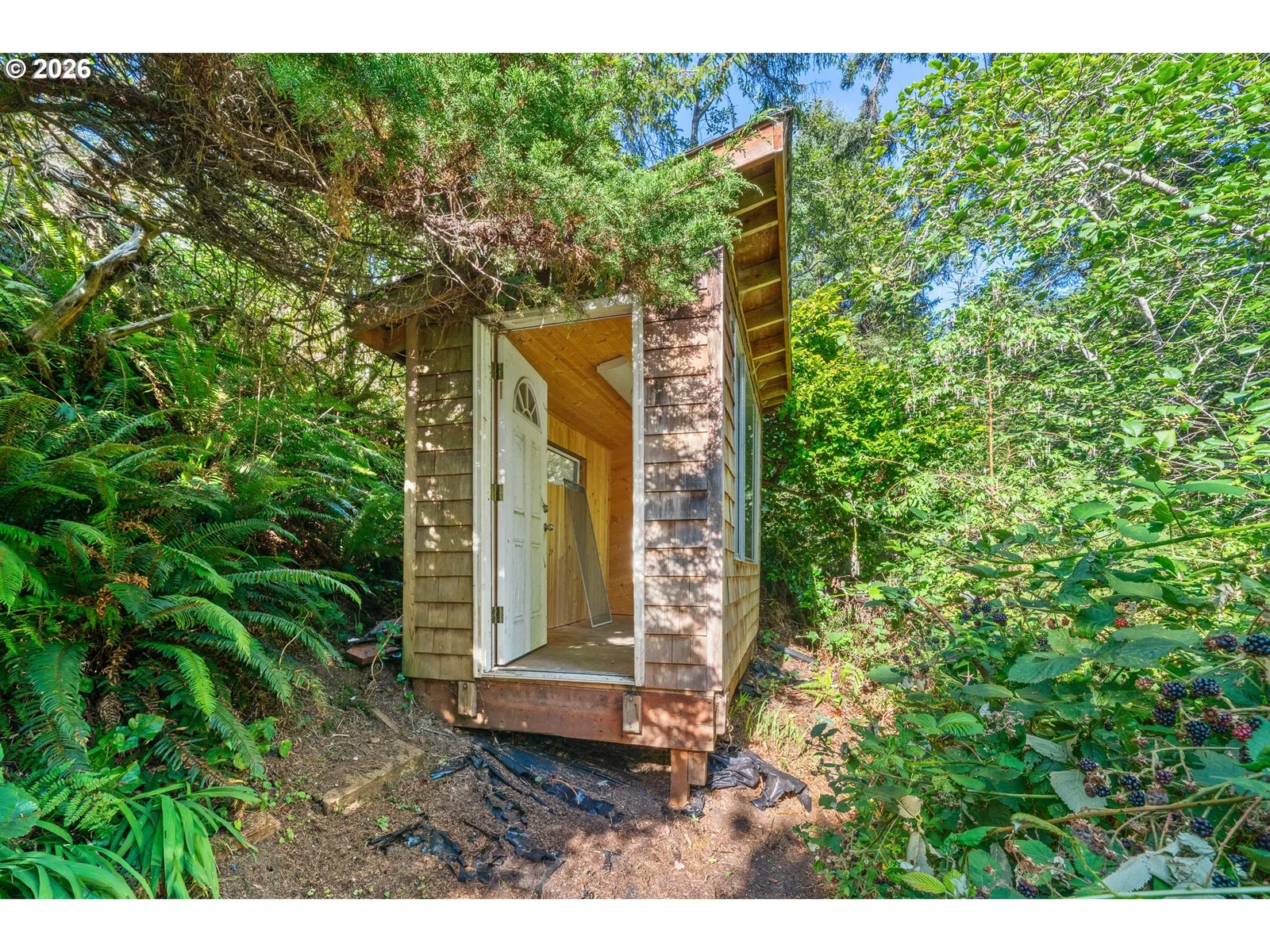 8355 Treasure Rocks Rd, Manzanita, OR 97130 — photograph 29