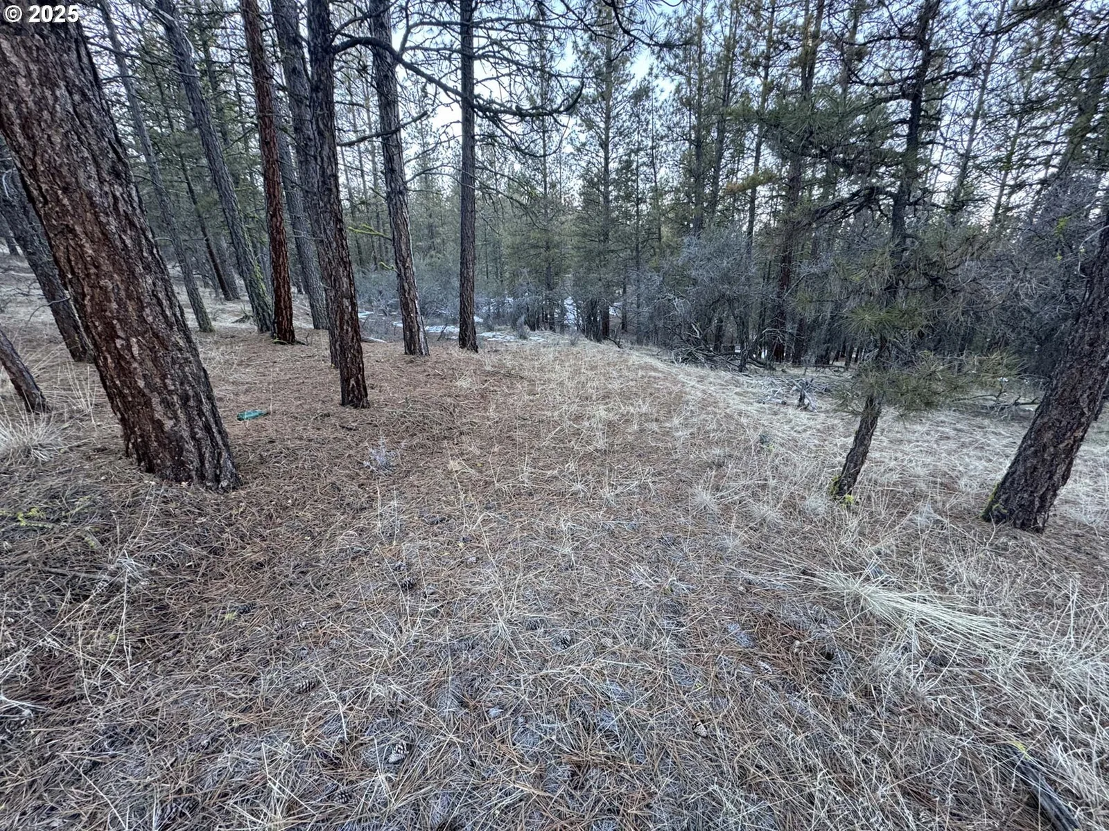 Bobcat Cir Lot 7, Beatty, OR 97621 — photograph 7