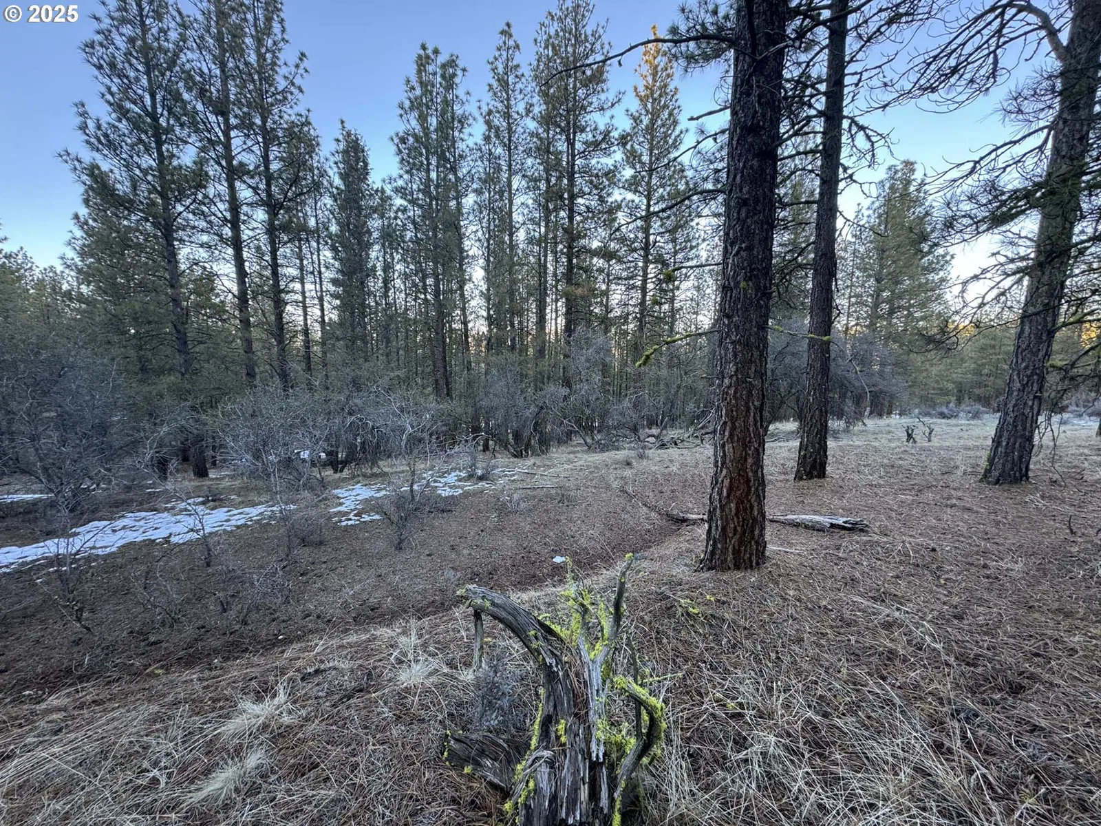Bobcat Cir Lot 7, Beatty, OR 97621 — photograph 10