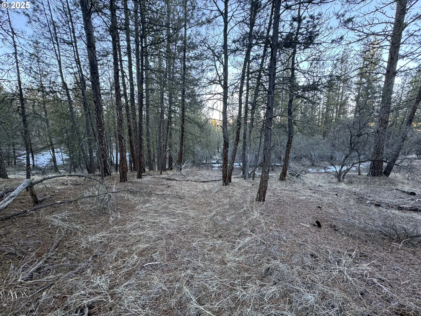 Bobcat Cir Lot 7, Beatty, OR 97621 — photograph 20