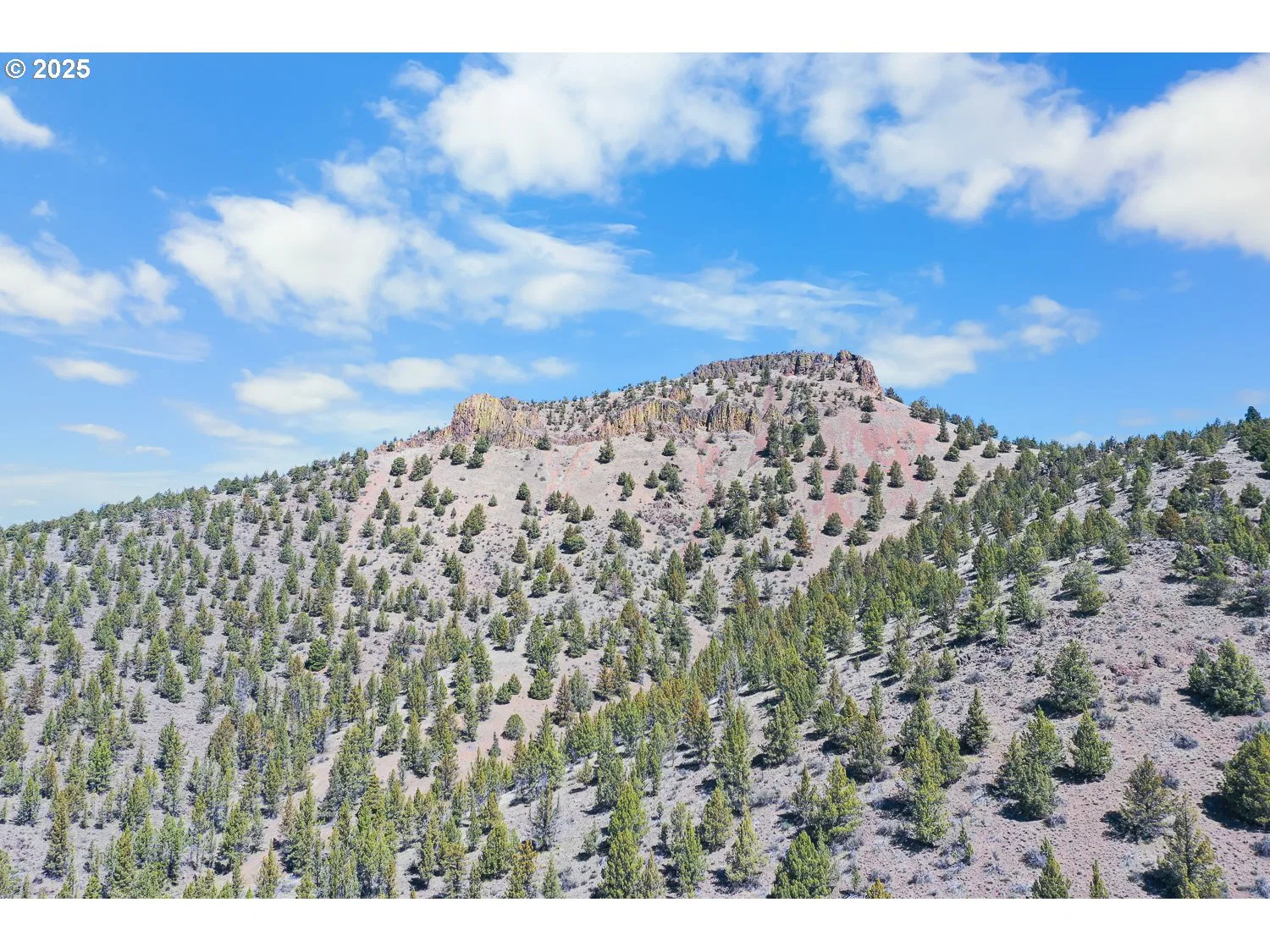 16303 NE Ochoco Hwy, Prineville, OR 97754 — photograph 33