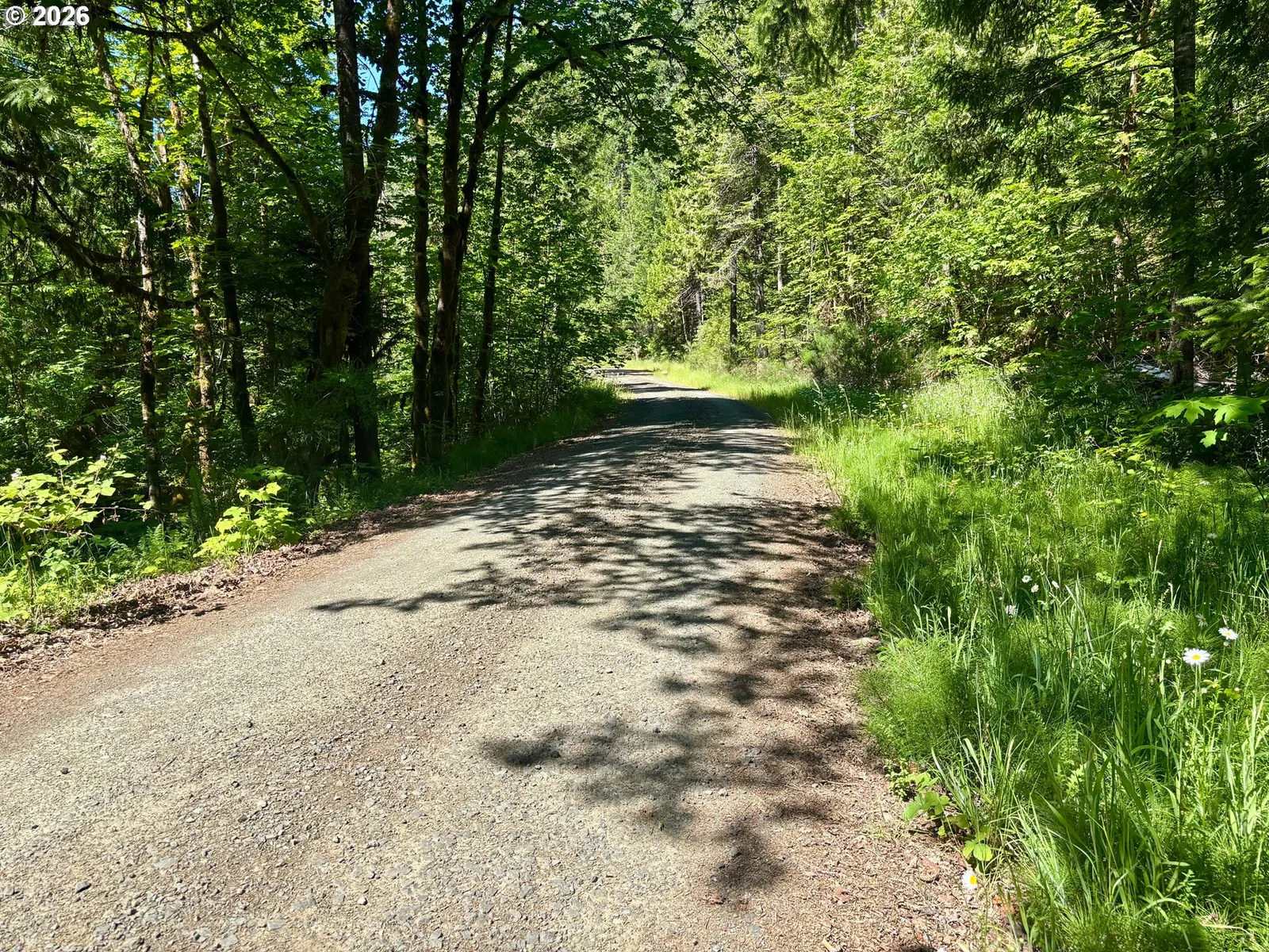 Myrtle Creek, OR — photograph 11