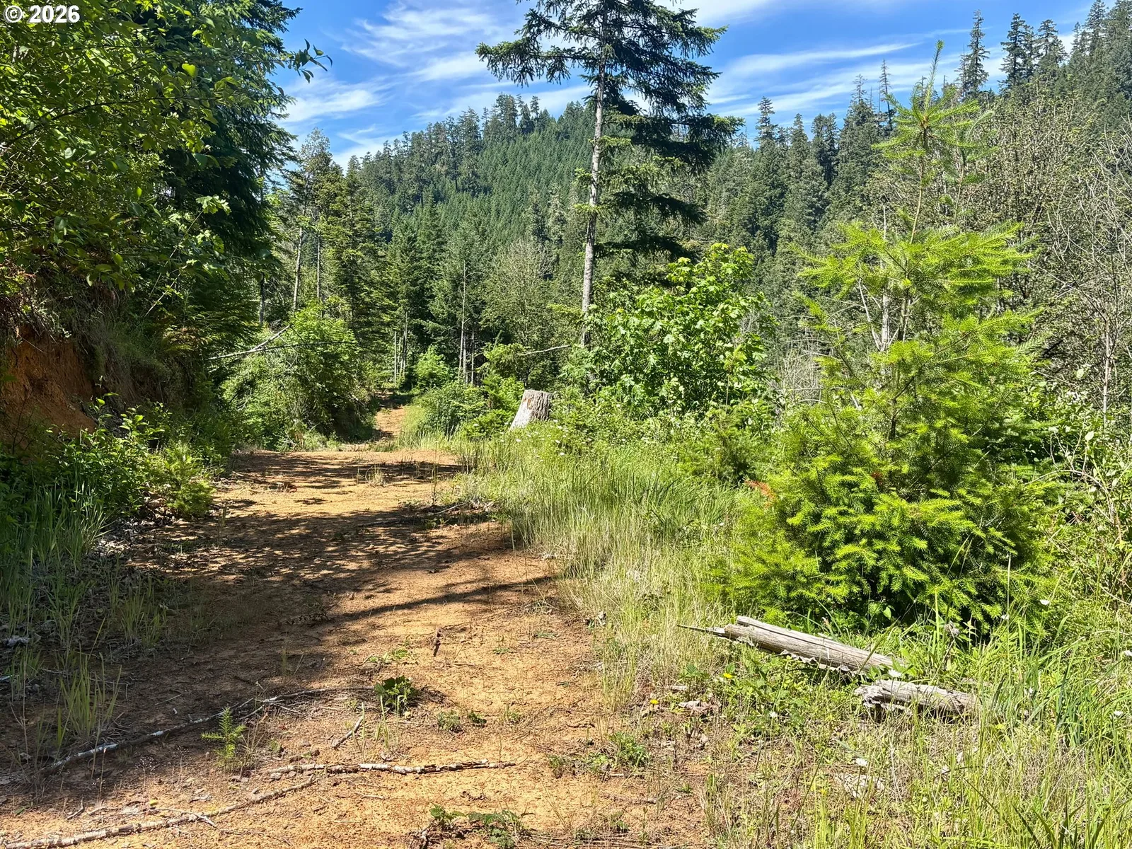 Myrtle Creek, OR — photograph 15