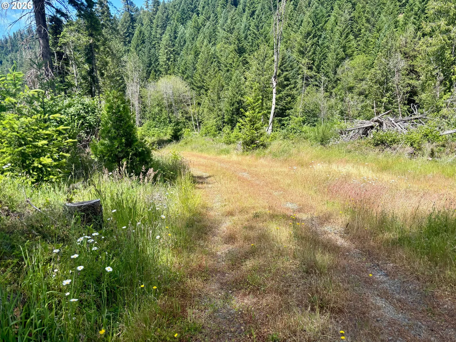 Myrtle Creek, OR — photograph 18