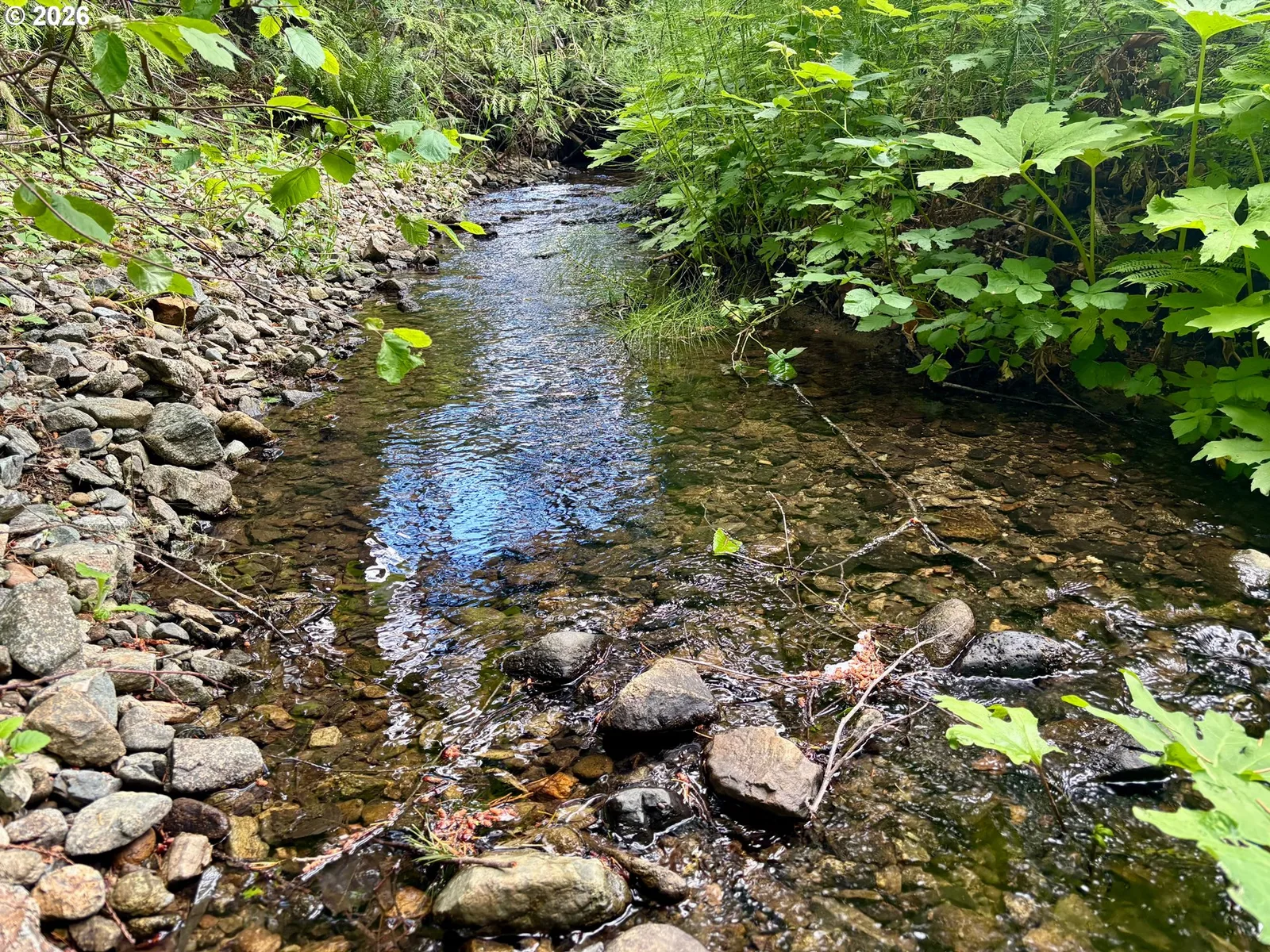 Myrtle Creek, OR — photograph 23