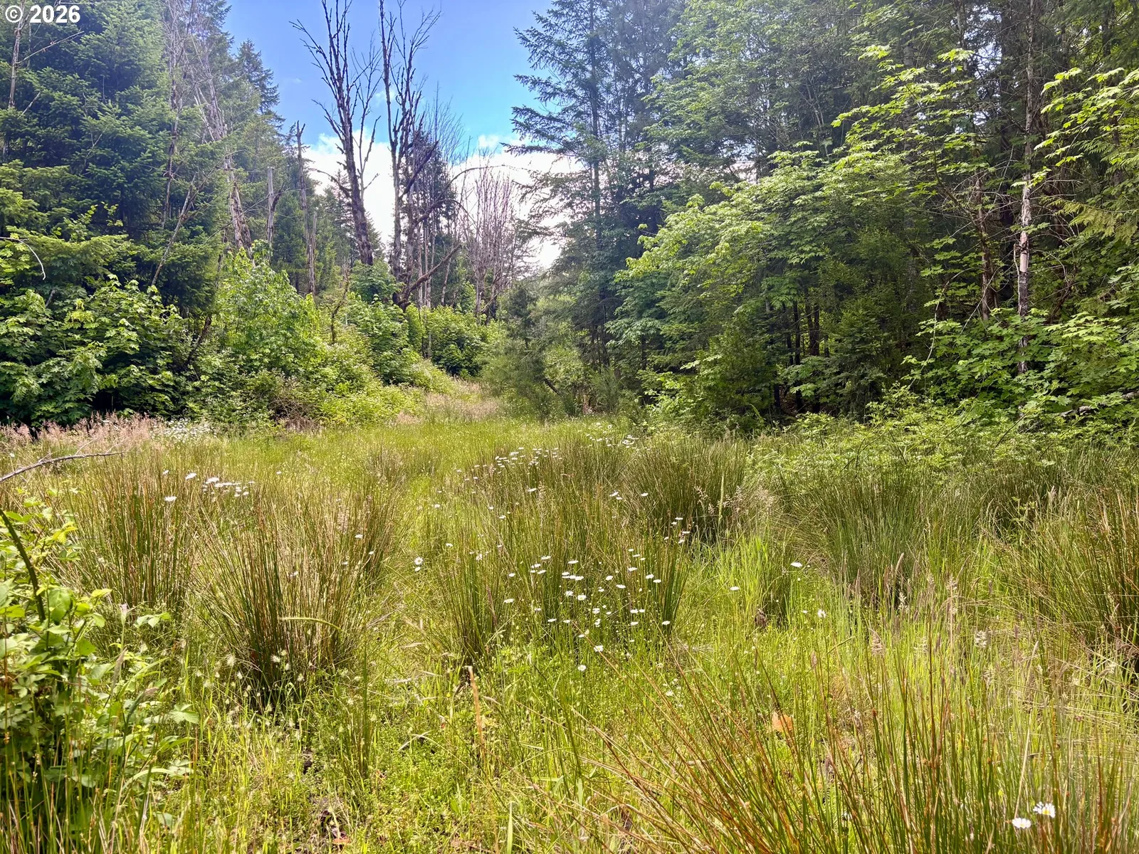 Myrtle Creek, OR — photograph 24