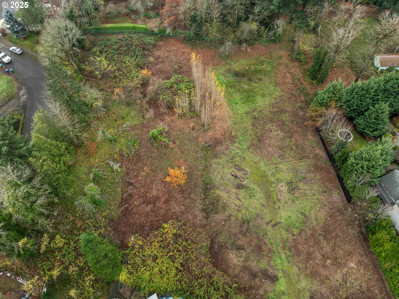9833 SE 17th Ave, Milwaukie, OR 97222 — photograph 15