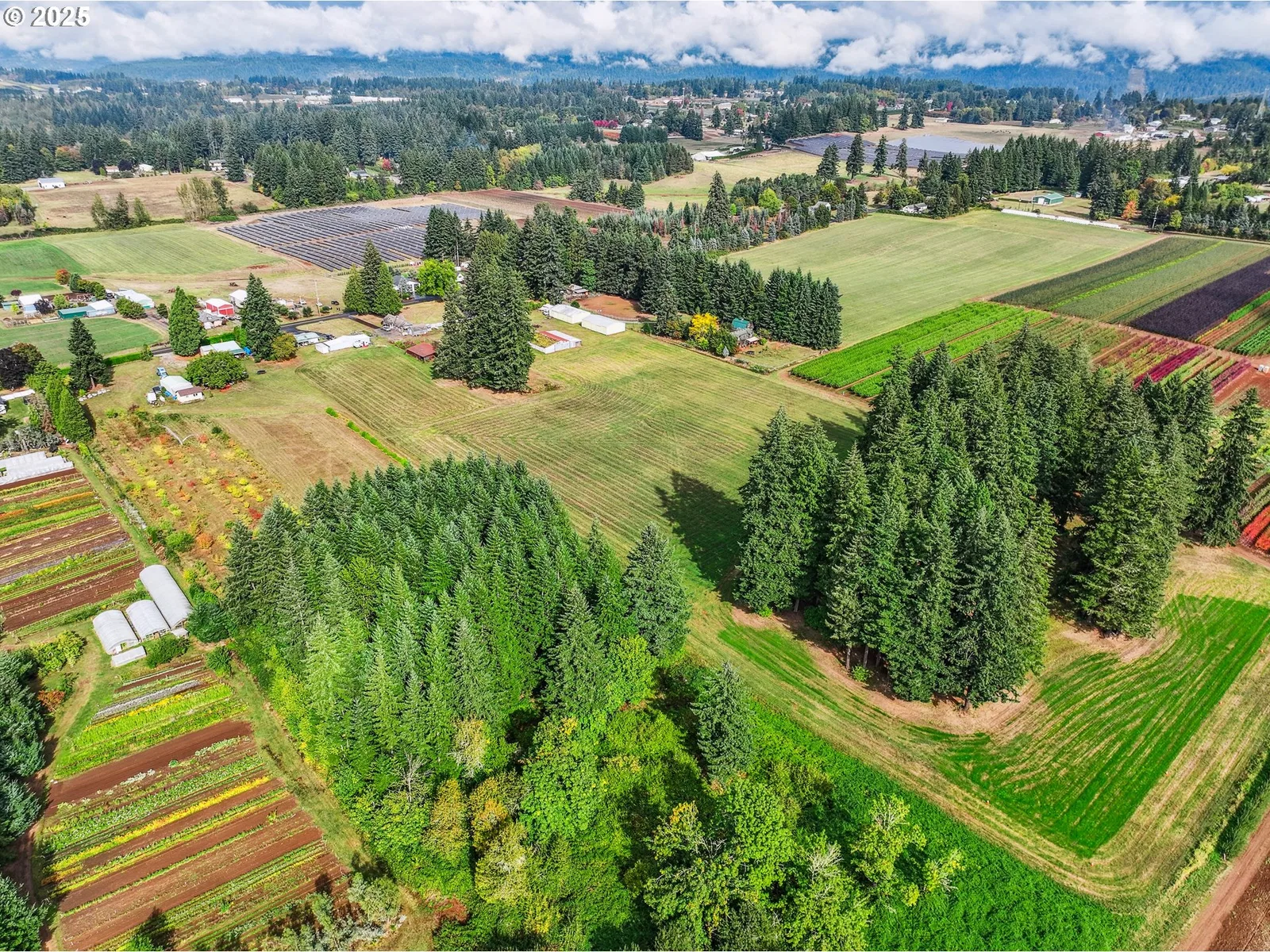 35600 SE Dunn Rd, Boring, OR 97009 — photograph 8