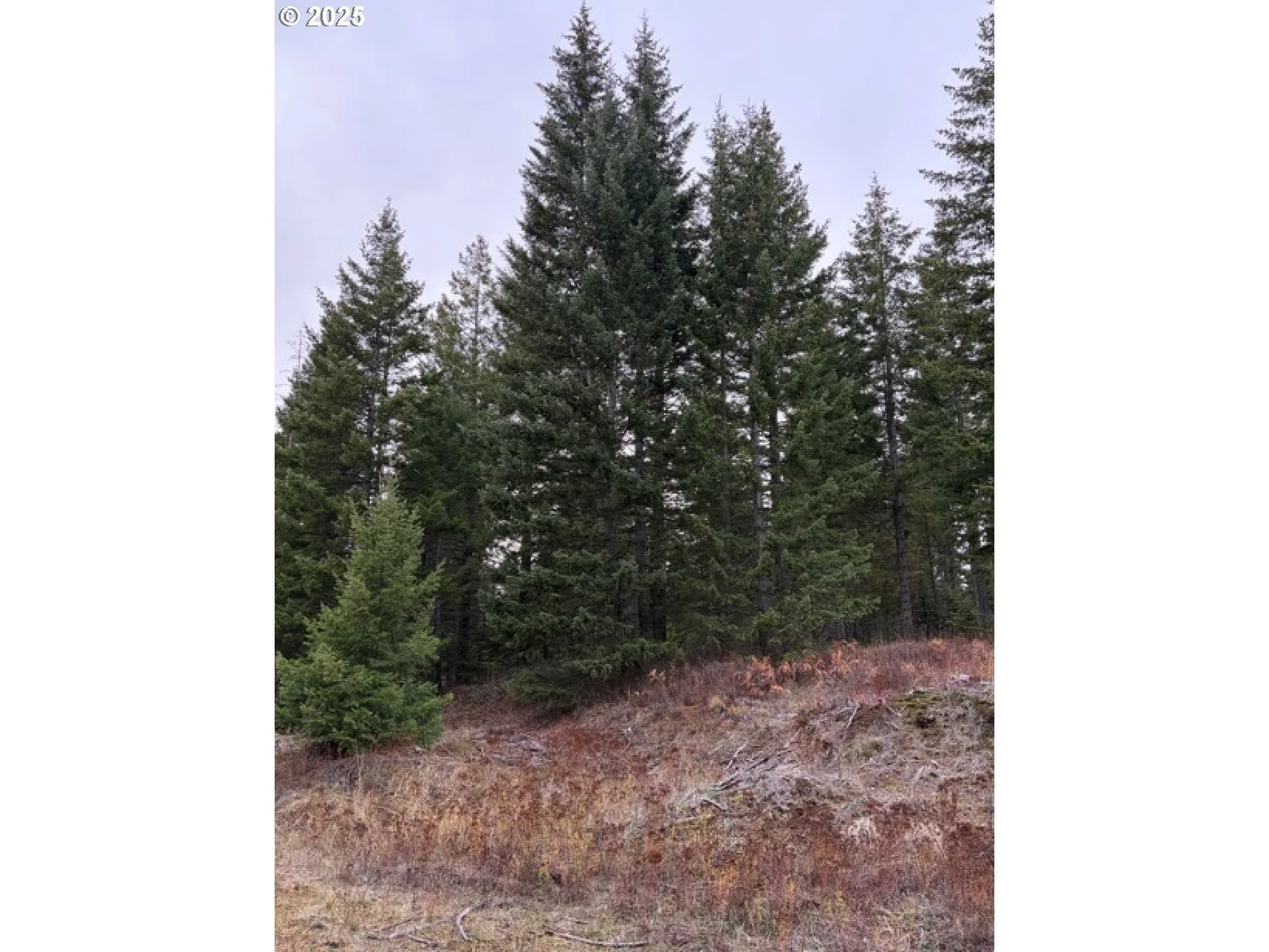 0 Meadowood Road, Weston, OR 97886 — photograph 9