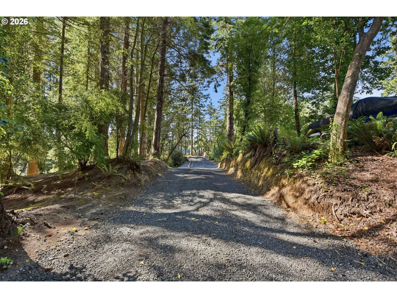 93808 Hollow Stump Ln, North Bend, OR 97459 — photograph 13