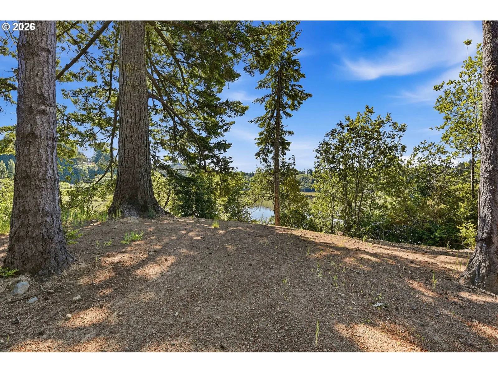 93808 Hollow Stump Ln, North Bend, OR 97459 — photograph 29