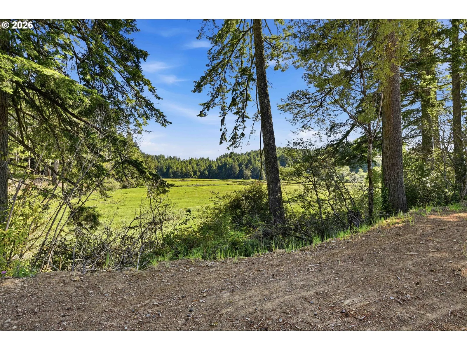 93808 Hollow Stump Ln, North Bend, OR 97459 — photograph 32