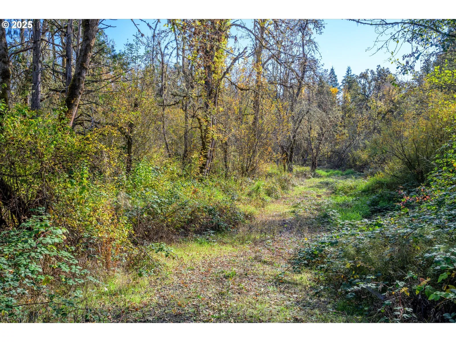 Siuslaw River Rd, Lorane, OR 97451 — photograph 8