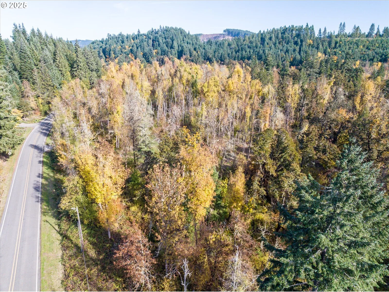 Siuslaw River Rd, Lorane, OR 97451 — photograph 23