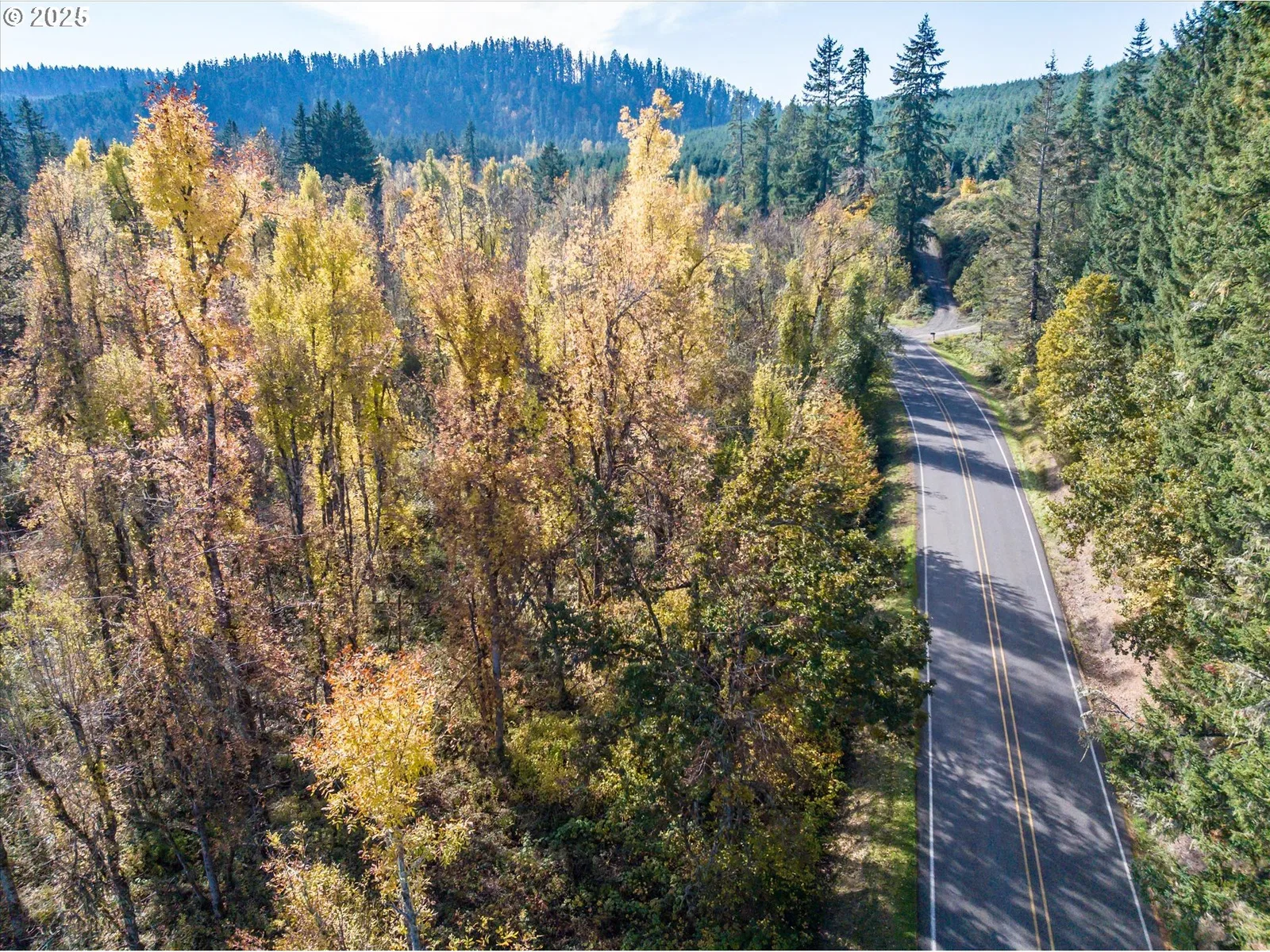 Siuslaw River Rd, Lorane, OR 97451 — photograph 24