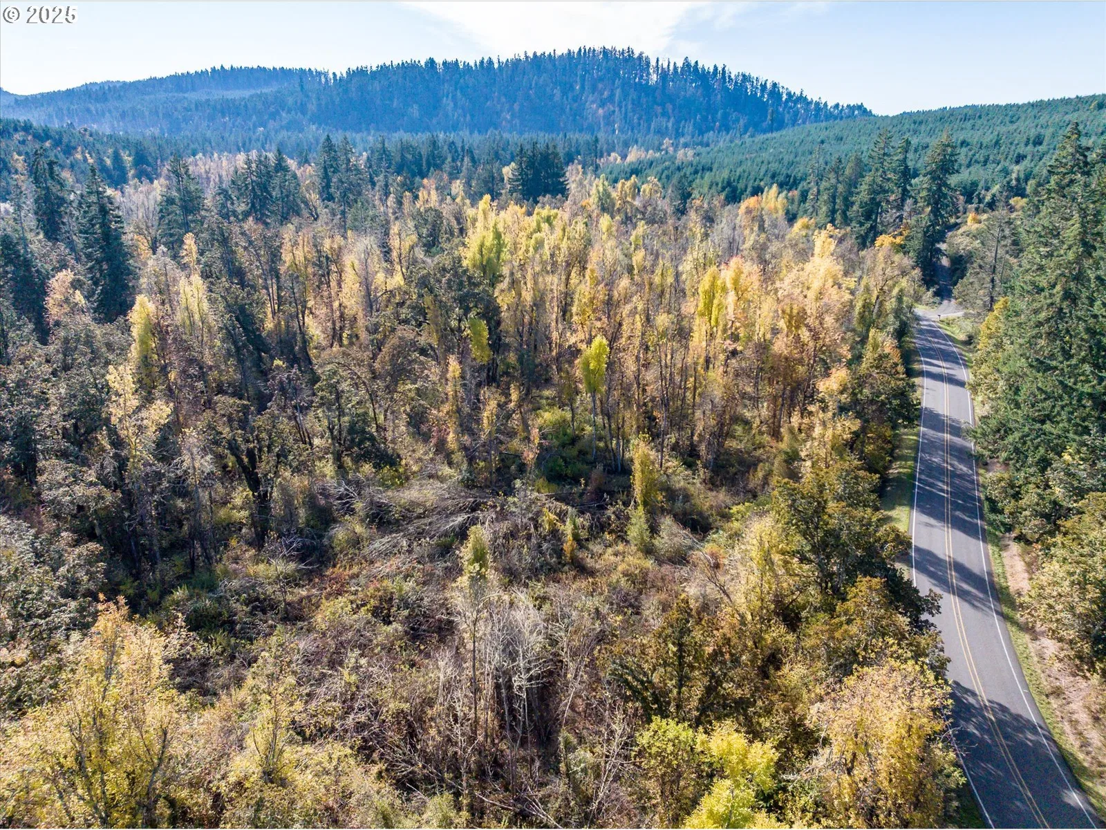 Siuslaw River Rd, Lorane, OR 97451 — photograph 25