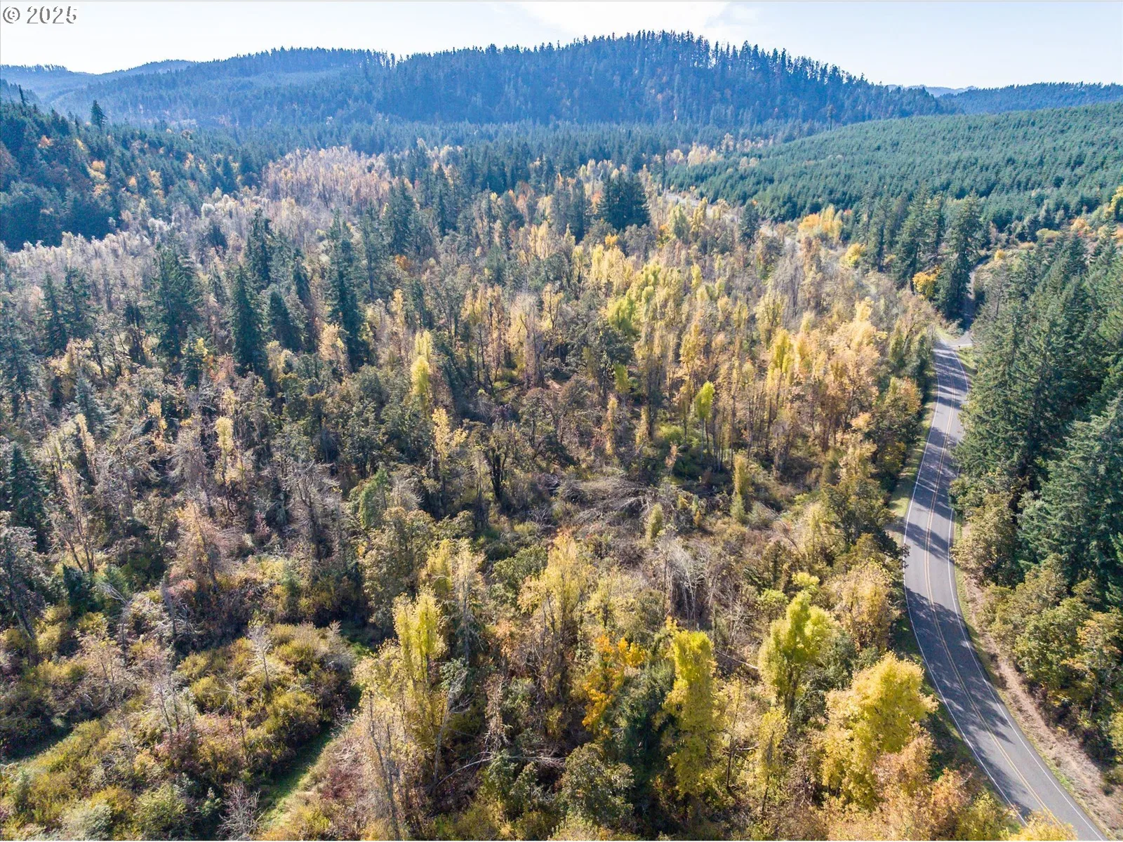 Siuslaw River Rd, Lorane, OR 97451 — photograph 26