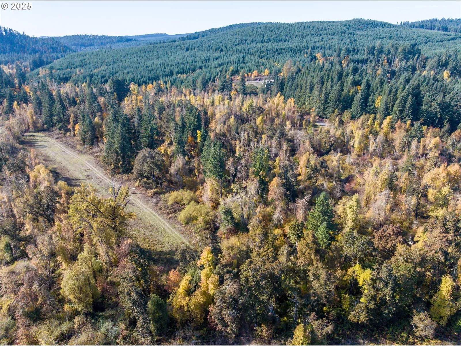 Siuslaw River Rd, Lorane, OR 97451 — photograph 29