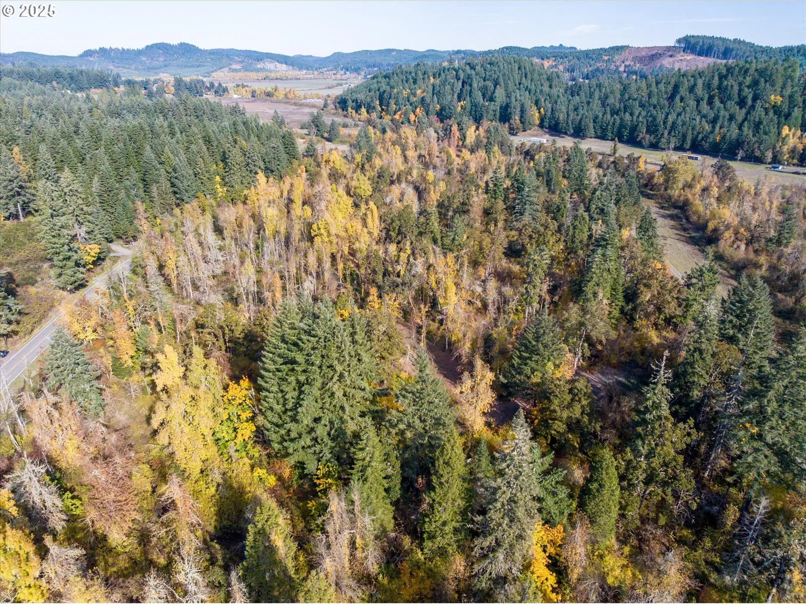 Siuslaw River Rd, Lorane, OR 97451 — photograph 31