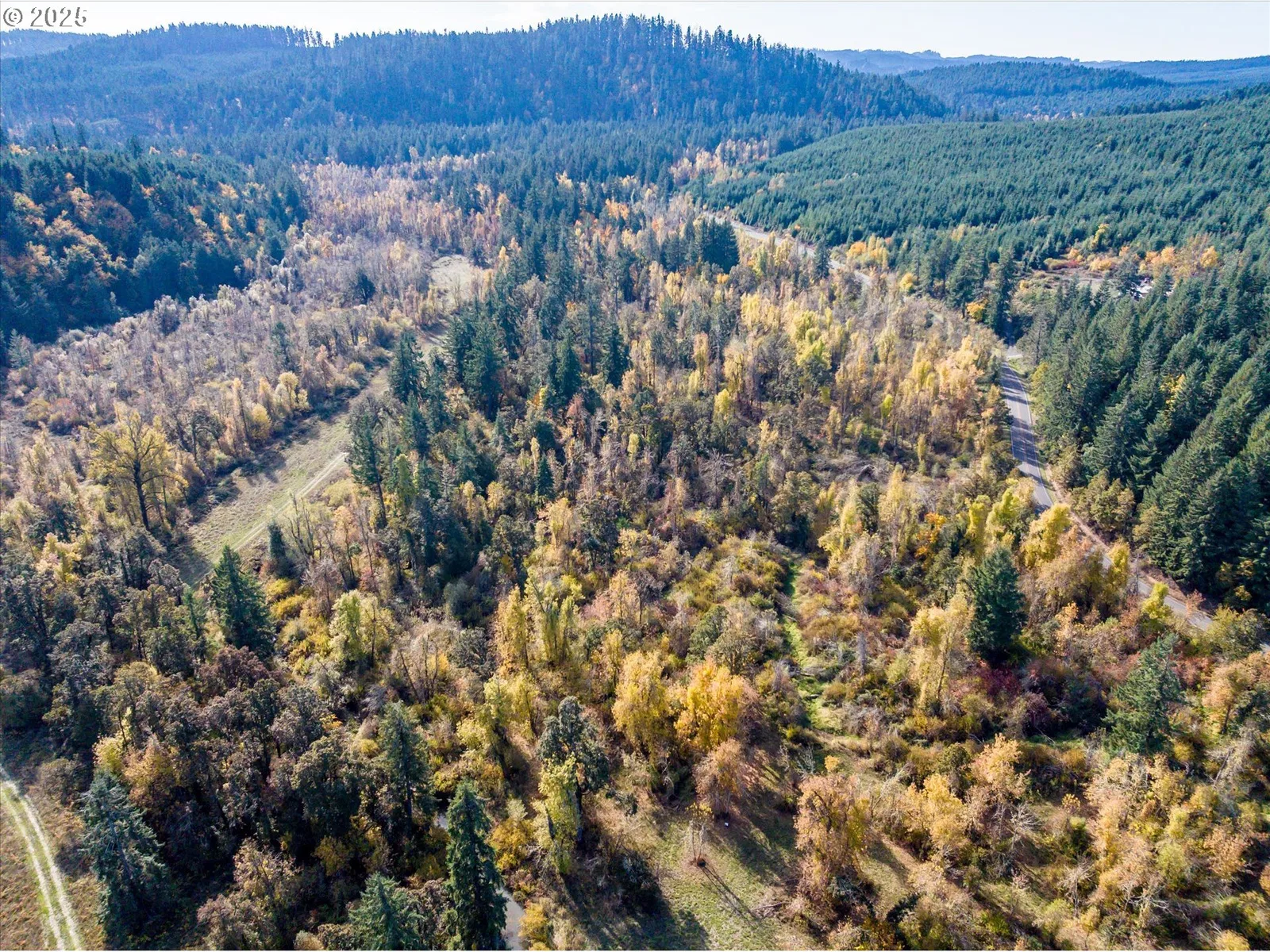 Siuslaw River Rd, Lorane, OR 97451 — photograph 36