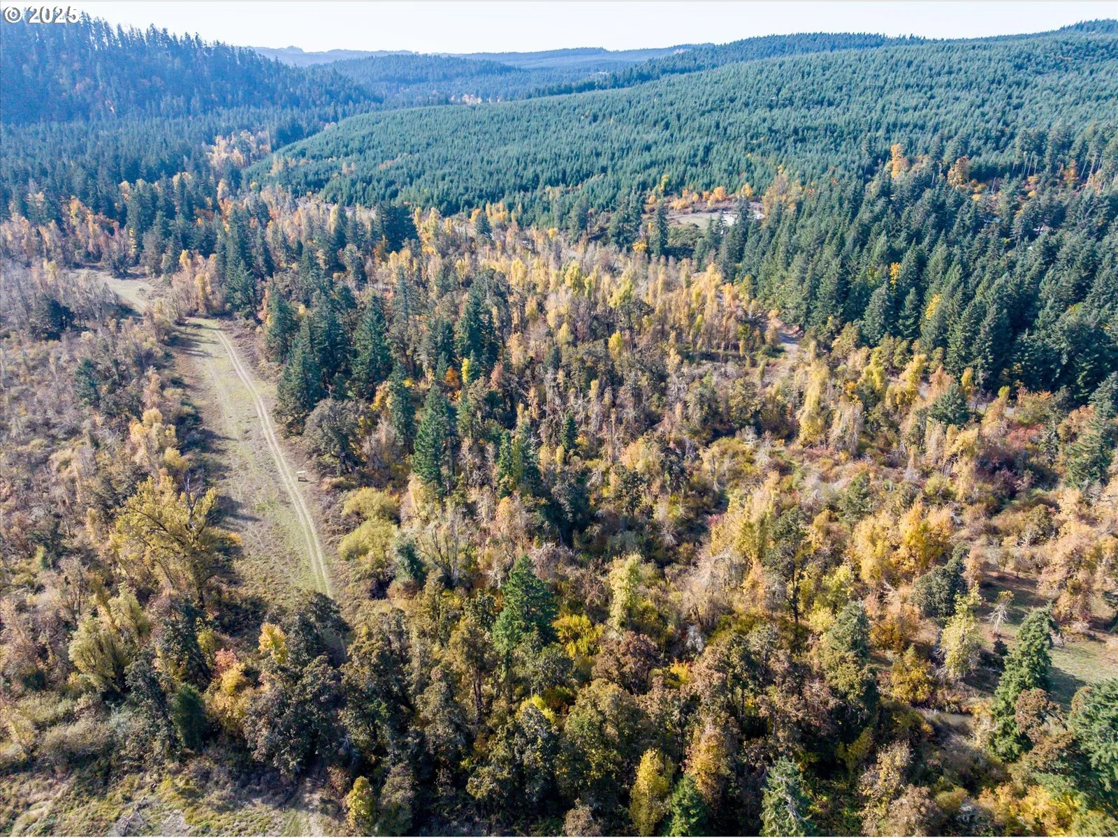 Siuslaw River Rd, Lorane, OR 97451 — photograph 37