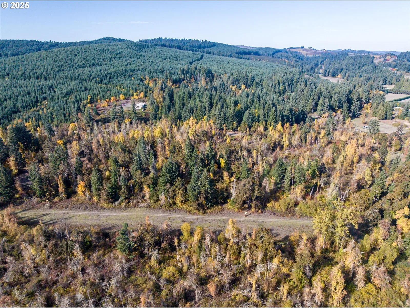 Siuslaw River Rd, Lorane, OR 97451 — photograph 38